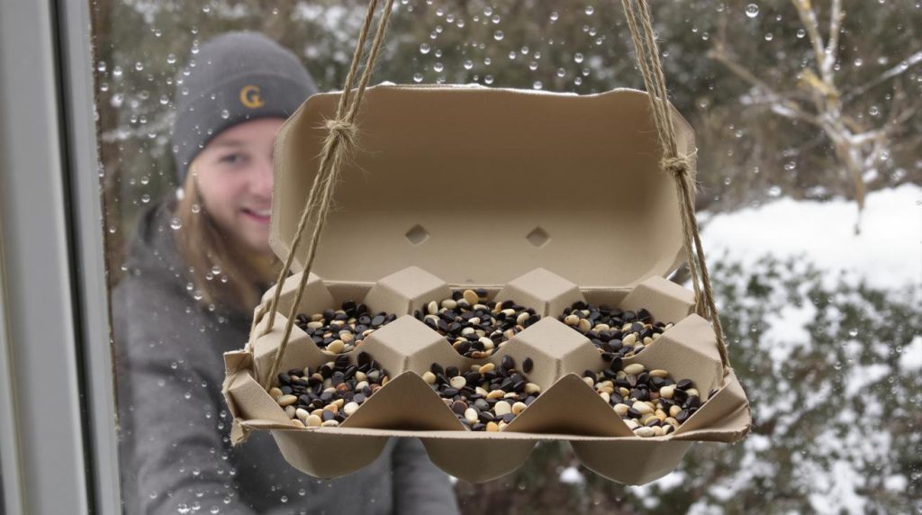 Ne jetez plus vos boîtes d'œufs vides, je les recycle au jardin pour attirer les oiseaux pendant tout l'hiver